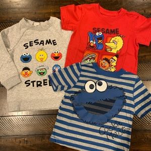 Sesame Street Lot Size 2T